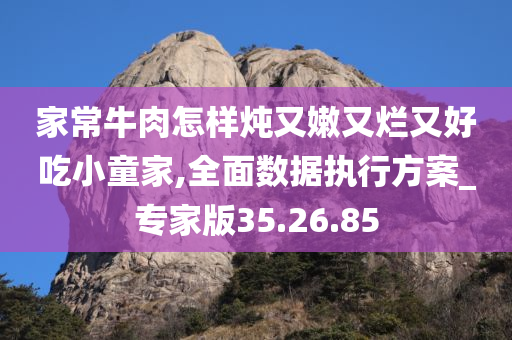 家常牛肉怎样炖又嫩又烂又好吃小童家,全面数据执行方案_专家版35.26.85