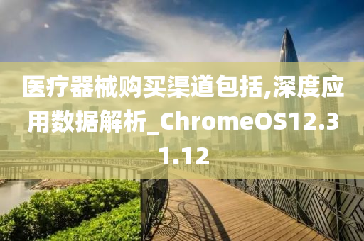 医疗器械购买渠道包括,深度应用数据解析_ChromeOS12.31.12