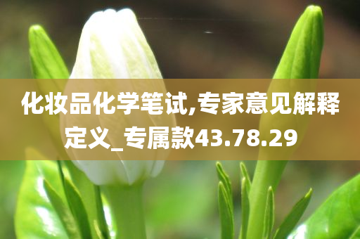 化妆品化学笔试,专家意见解释定义_专属款43.78.29