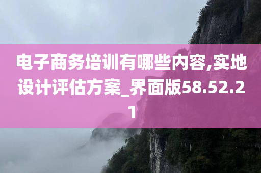 电子商务培训有哪些内容,实地设计评估方案_界面版58.52.21