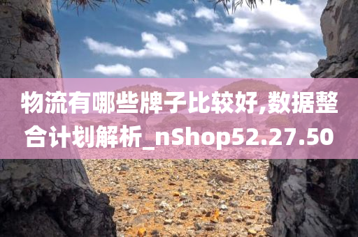 物流有哪些牌子比较好,数据整合计划解析_nShop52.27.50