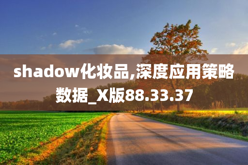 shadow化妆品,深度应用策略数据_X版88.33.37