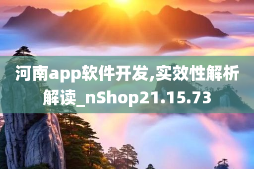 河南app软件开发,实效性解析解读_nShop21.15.73