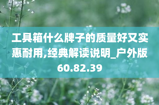 工具箱什么牌子的质量好又实惠耐用,经典解读说明_户外版60.82.39