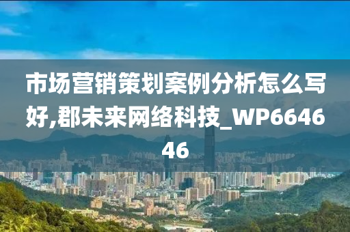 市场营销策划案例分析怎么写好,郡未来网络科技_WP664646