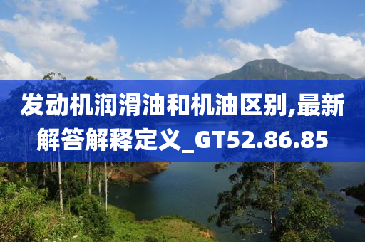 发动机润滑油和机油区别,最新解答解释定义_GT52.86.85