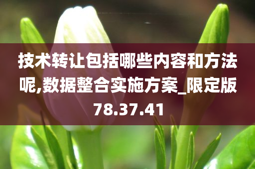 技术转让包括哪些内容和方法呢,数据整合实施方案_限定版78.37.41