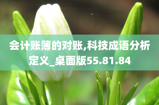 会计账簿的对账,科技成语分析定义_桌面版55.81.84