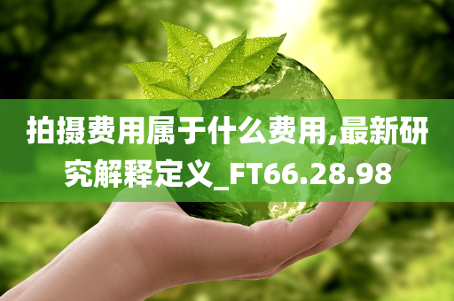 拍摄费用属于什么费用,最新研究解释定义_FT66.28.98