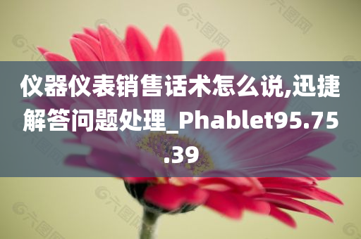 仪器仪表销售话术怎么说,迅捷解答问题处理_Phablet95.75.39