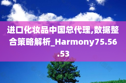 进口化妆品中国总代理,数据整合策略解析_Harmony75.56.53