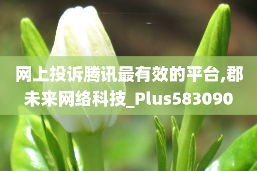 网上投诉腾讯最有效的平台,郡未来网络科技_Plus583090