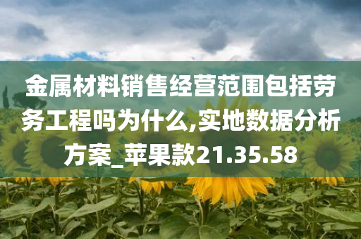 金属材料销售经营范围包括劳务工程吗为什么,实地数据分析方案_苹果款21.35.58