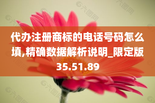 代办注册商标的电话号码怎么填,精确数据解析说明_限定版35.51.89