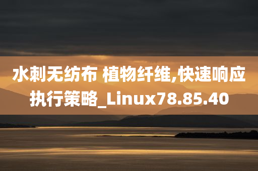 水刺无纺布 植物纤维,快速响应执行策略_Linux78.85.40