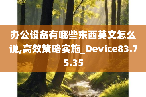 办公设备有哪些东西英文怎么说,高效策略实施_Device83.75.35