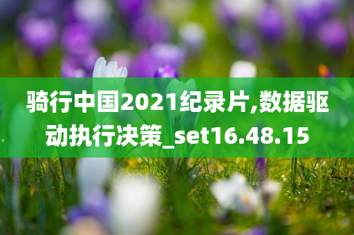 骑行中国2021纪录片,数据驱动执行决策_set16.48.15