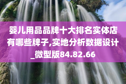 婴儿用品品牌十大排名实体店有哪些牌子,实地分析数据设计_微型版84.82.66