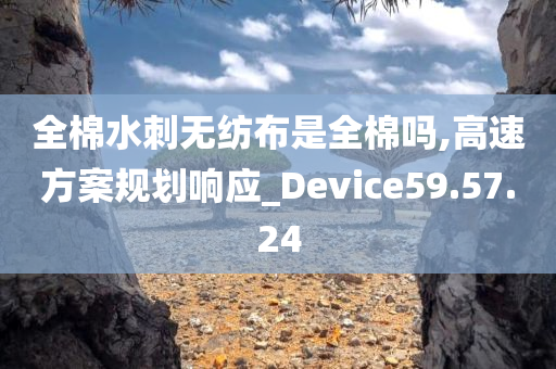 全棉水刺无纺布是全棉吗,高速方案规划响应_Device59.57.24