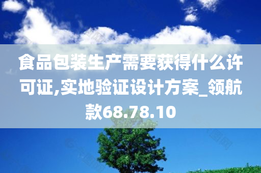 食品包装生产需要获得什么许可证,实地验证设计方案_领航款68.78.10