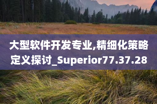 大型软件开发专业,精细化策略定义探讨_Superior77.37.28