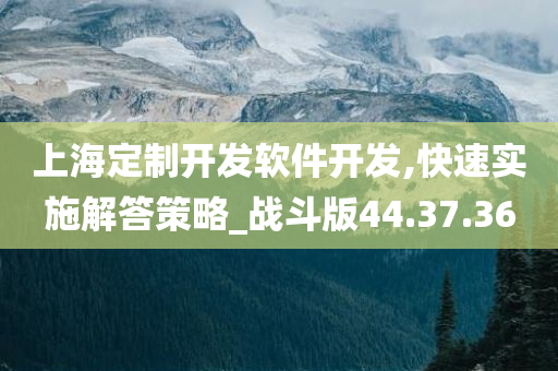 上海定制开发软件开发,快速实施解答策略_战斗版44.37.36