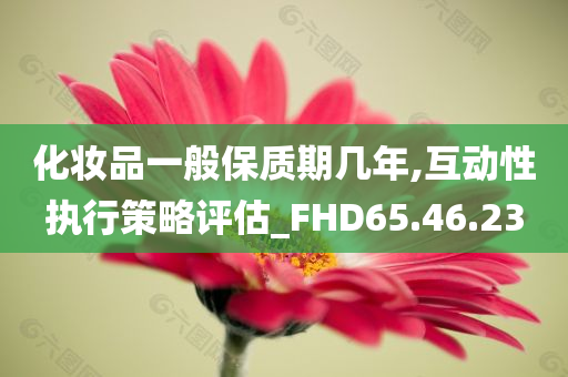 化妆品一般保质期几年,互动性执行策略评估_FHD65.46.23