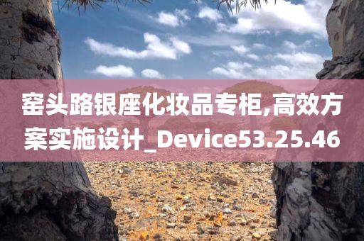 窑头路银座化妆品专柜,高效方案实施设计_Device53.25.46