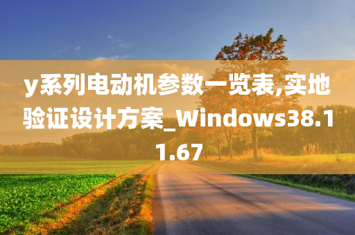 y系列电动机参数一览表,实地验证设计方案_Windows38.11.67