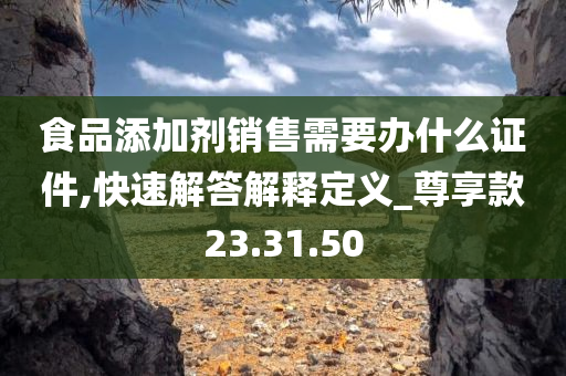 食品添加剂销售需要办什么证件,快速解答解释定义_尊享款23.31.50