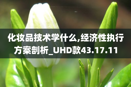 化妆品技术学什么,经济性执行方案剖析_UHD款43.17.11