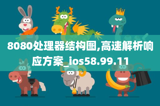 8080处理器结构图,高速解析响应方案_ios58.99.11