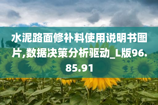 水泥路面修补料使用说明书图片,数据决策分析驱动_L版96.85.91