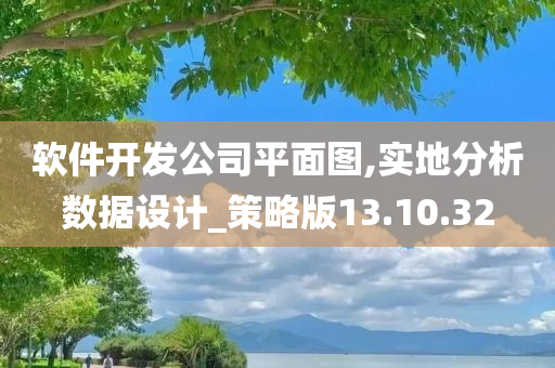 软件开发公司平面图,实地分析数据设计_策略版13.10.32