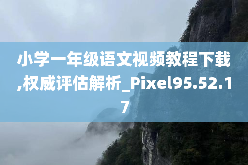 小学一年级语文视频教程下载,权威评估解析_Pixel95.52.17