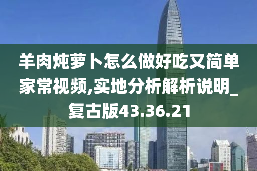 羊肉炖萝卜怎么做好吃又简单家常视频,实地分析解析说明_复古版43.36.21