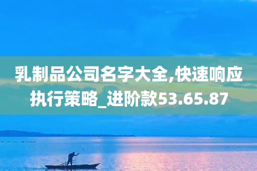 乳制品公司名字大全,快速响应执行策略_进阶款53.65.87