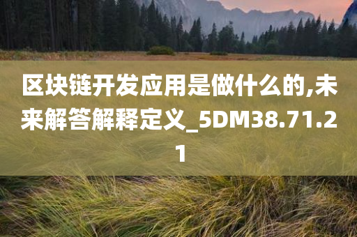 区块链开发应用是做什么的,未来解答解释定义_5DM38.71.21