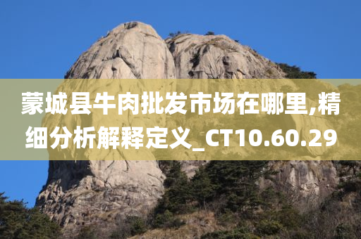 蒙城县牛肉批发市场在哪里,精细分析解释定义_CT10.60.29