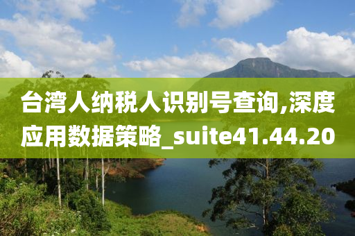 台湾人纳税人识别号查询,深度应用数据策略_suite41.44.20