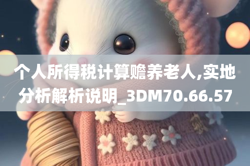 个人所得税计算赡养老人,实地分析解析说明_3DM70.66.57