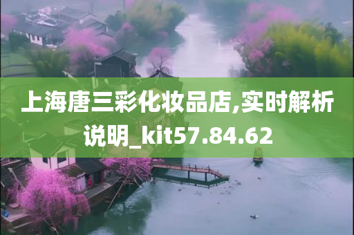 上海唐三彩化妆品店,实时解析说明_kit57.84.62