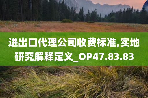 进出口代理公司收费标准,实地研究解释定义_OP47.83.83