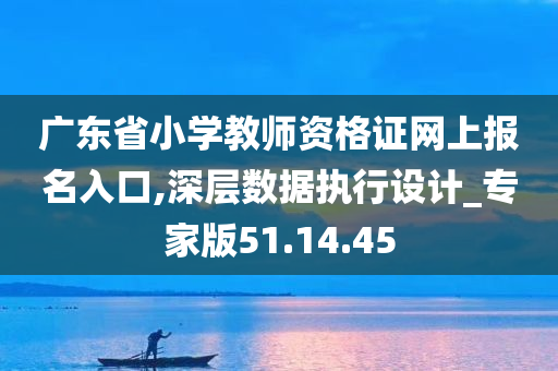 广东省小学教师资格证网上报名入口,深层数据执行设计_专家版51.14.45