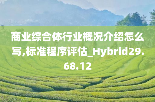 商业综合体行业概况介绍怎么写,标准程序评估_Hybrid29.68.12