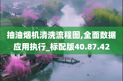 抽油烟机清洗流程图,全面数据应用执行_标配版40.87.42