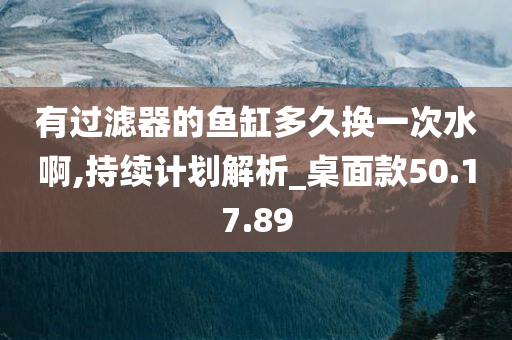 有过滤器的鱼缸多久换一次水啊,持续计划解析_桌面款50.17.89