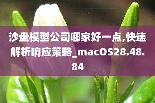 沙盘模型公司哪家好一点,快速解析响应策略_macOS28.48.84