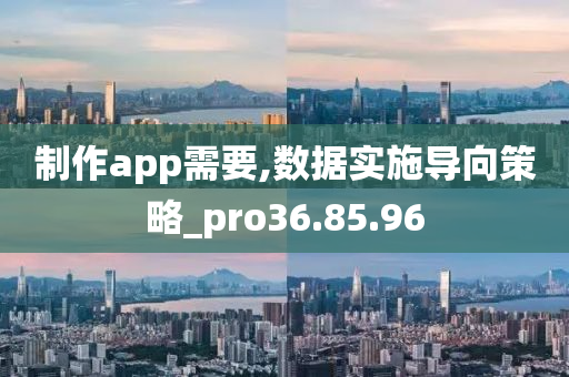 制作app需要,数据实施导向策略_pro36.85.96