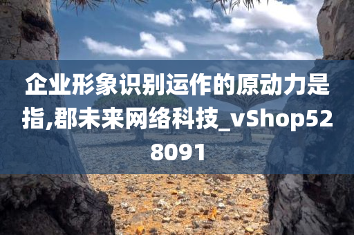 企业形象识别运作的原动力是指,郡未来网络科技_vShop528091